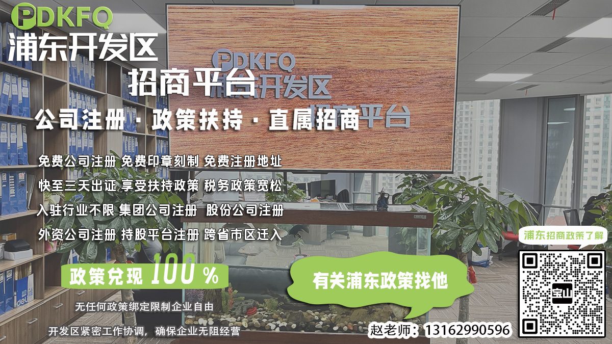 浦东临港开发区公司注册资本实缴验资需要哪些政府部门创新能力？